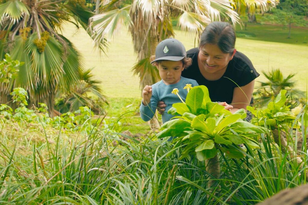 McBryde Garden Selfguided Tour National Tropical Botanical Garden